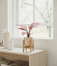 Load image into Gallery viewer, Sandy Pink stand:bamboo
