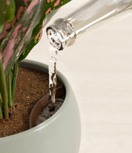 Load image into Gallery viewer, Earthy stand:all
