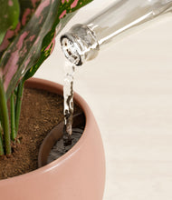 Load image into Gallery viewer, Evening Sky stand:all
