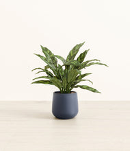 Load image into Gallery viewer, Deep Navy*****Profile
