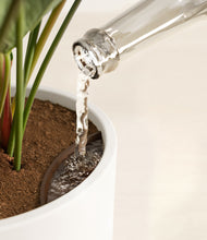 Load image into Gallery viewer, Liberty Light
