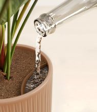 Load image into Gallery viewer, Petal Pair
