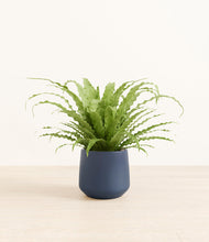 Load image into Gallery viewer, Deep Navy*****Profile
