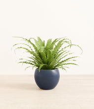 Load image into Gallery viewer, Deep Navy*****Profile
