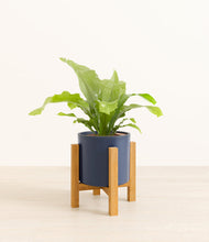 Load image into Gallery viewer, Deep Navy stand:light
