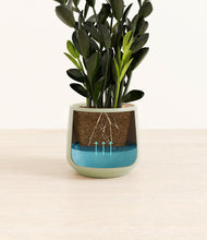 Load image into Gallery viewer, Turquoise
