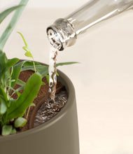 Load image into Gallery viewer, Olive stand:all
