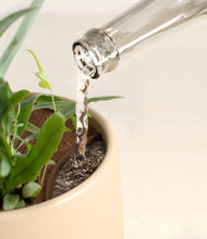 Load image into Gallery viewer, Almond Green stand:all
