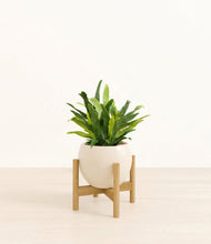 Load image into Gallery viewer, Shiny EggWhite stand:bamboo
