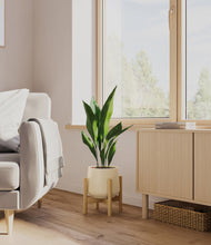 Load image into Gallery viewer, Almond Green stand:bamboo
