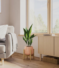 Load image into Gallery viewer, Calm Rose stand:bamboo
