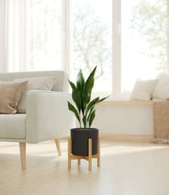 Load image into Gallery viewer, Black stand:bamboo
