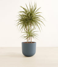 Load image into Gallery viewer, Iron Gray*****Profile
