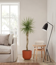 Load image into Gallery viewer, Earth Red
