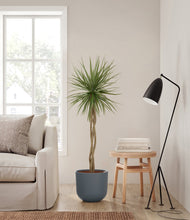 Load image into Gallery viewer, Iron Gray
