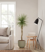 Load image into Gallery viewer, Sage Green
