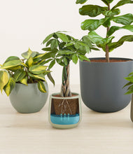 Load image into Gallery viewer, Countryside
