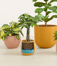 Load image into Gallery viewer, Evening Sky
