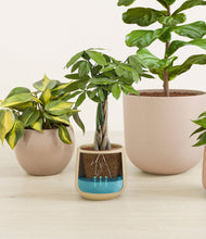 Load image into Gallery viewer, Sandy
