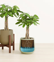 Load image into Gallery viewer, Earthy stand:one_stand
