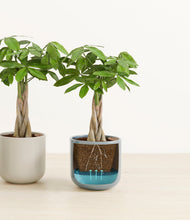 Load image into Gallery viewer, Pebble Shore
