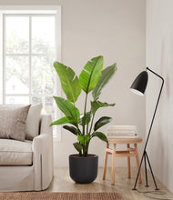 Load image into Gallery viewer, Stone Black
