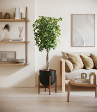 Load image into Gallery viewer, Stone Black stand:walnut
