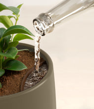 Load image into Gallery viewer, Olive stand:all
