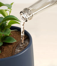 Load image into Gallery viewer, Deep Navy stand:all
