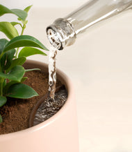 Load image into Gallery viewer, Gentle Pink stand:all
