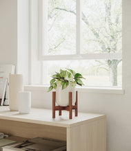 Load image into Gallery viewer, Cotton White stand:walnut

