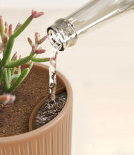 Load image into Gallery viewer, Terracotta Dream
