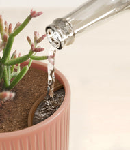 Load image into Gallery viewer, Rustic Rouge
