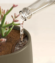 Load image into Gallery viewer, Olive stand:all
