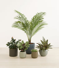 Load image into Gallery viewer, Earthy*****Profile
