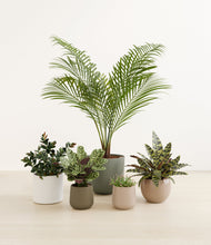 Load image into Gallery viewer, Woodland*****Profile
