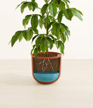 Load image into Gallery viewer, Earth Red
