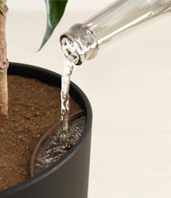 Load image into Gallery viewer, Stone Black stand:all
