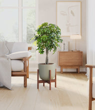 Load image into Gallery viewer, Sage Green stand:walnut
