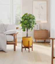 Load image into Gallery viewer, Sunset Orange stand:walnut
