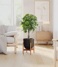 Load image into Gallery viewer, Stone Black stand:bamboo
