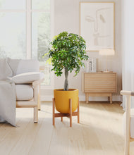 Load image into Gallery viewer, Sunset Orange stand:bamboo
