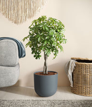 Load image into Gallery viewer, Iron Gray
