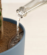 Load image into Gallery viewer, Iron Gray stand:all
