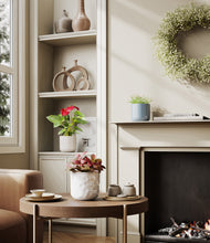 Load image into Gallery viewer, Frosted Lagoon
