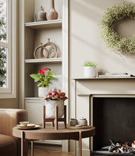 Load image into Gallery viewer, Hammered Ivory stand:one_stand
