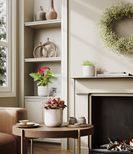 Load image into Gallery viewer, Winter Glow
