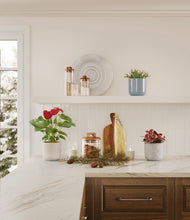 Load image into Gallery viewer, Frosted Lagoon
