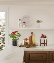 Load image into Gallery viewer, Midnight Snow stand:one_stand
