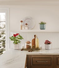 Load image into Gallery viewer, Moss Frost
